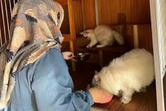 Merawat Hewan di Rumah Bisa Memberikan Manfaat Kesehatan Lho