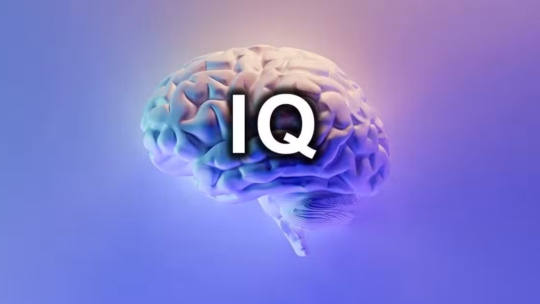 Jenis-Jenis Tes Online IQ dan Mana yang Paling Cocok untuk Anda