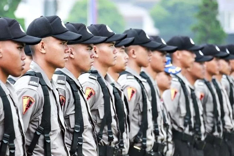 Rahasia Lolos Tryout POLRI Pengetahuan Kepolisian dari Alumni Terbaik