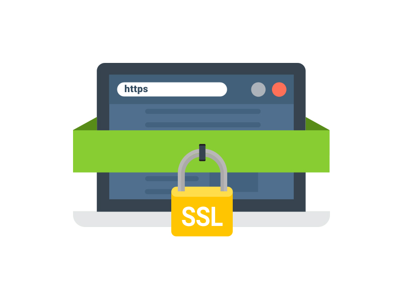 SSL SEO