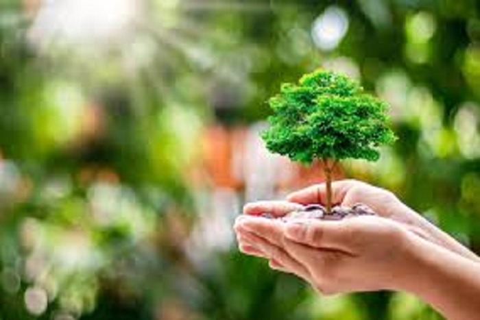 DLH dan Gerakan Hijau, Masyarakat Turut Andil Selamatkan Lingkungan