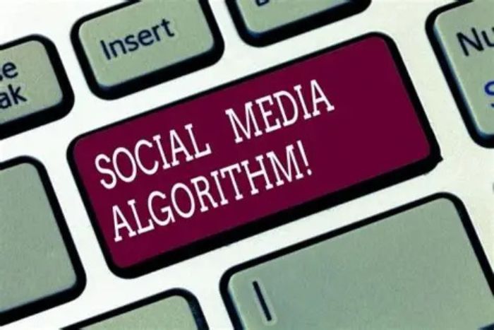 algoritama media sosial