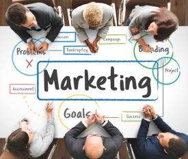 Strategi Efektif Menghadapi Persaingan Bisnis Online 2026