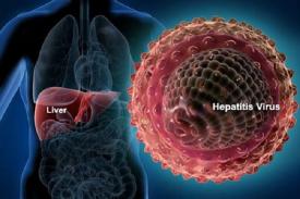Atasi Hepatitis Dengan Obat Herbal Ini