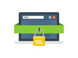 SSL SEO